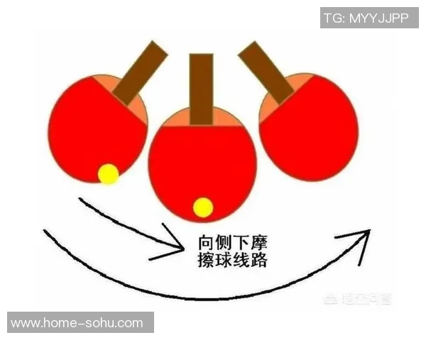 乒乓球专题：深入探讨杭州乒乓球队的速度与技巧训练之道